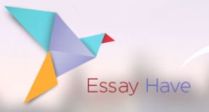 EssayHave.com review