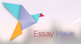 essay have.com