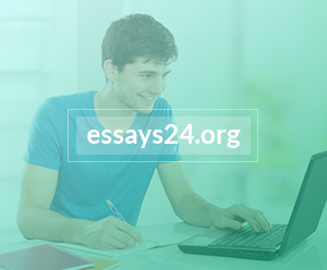 essays24.org review